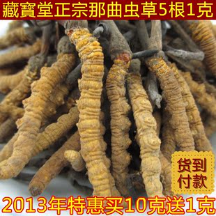  藏寳堂 西藏那曲虫草 冬虫夏草 精选特级 虫草 5根1克 包邮