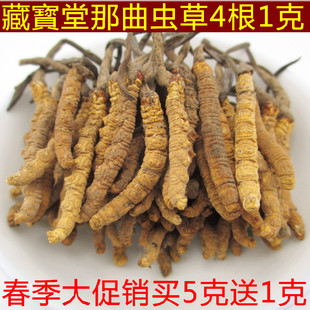  藏寳堂 那曲虫草 冬虫夏草 精选特级1克4条 送礼佳品 1g包邮