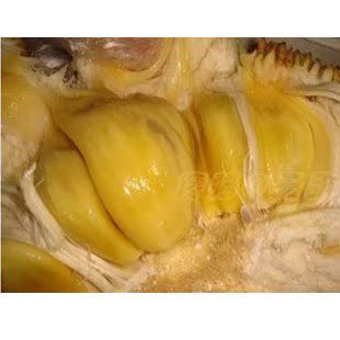 年货特产 海南新鲜水果木菠萝菠萝蜜15斤起拍 香甜特价