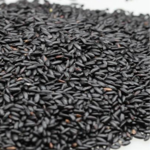 陝西洋縣黑米 洋縣黑米 黑米500g 包郵在類目 糧油米麪/南北乾貨/調味品, 米/麪粉/雜糧, 米類, 黑米中 - 來自Buy2taobao.com提供專業的淘寶代購服務