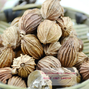 香料最全 金砂仁 优质正品川菜调料 炖肉卤菜必备调味品批发价50g