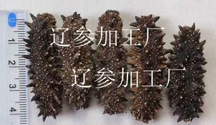  纯野生日本红参优质刺参六排刺品质保证海参干货淡干海参海参批发