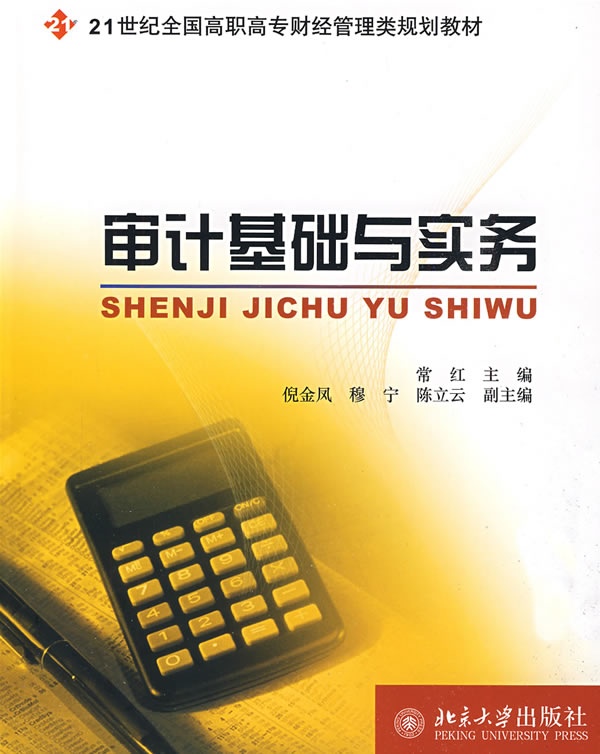 审计基础与实务多少钱,审计基础与实务网上专