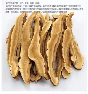  纯野生灵芝片赤芝  灵芝片 赤灵芝 降压安神 失眠多梦 抗癌