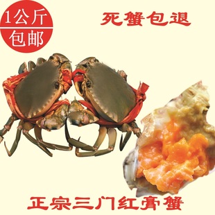  海鲜鲜活 三门青蟹大红膏蟹 海蟹水产母螃蟹 单只5至9两 2件起发