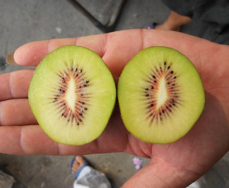 红阳红心猕猴桃 4元\/个\/100克 软了冰的感觉比