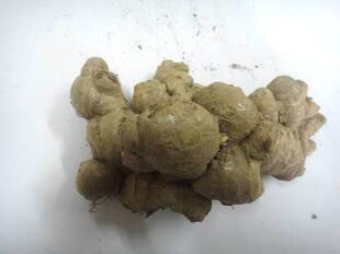  特价老姜黄姜 农家自种土姜老姜母姜 绿色有机蔬菜生姜 多地包邮