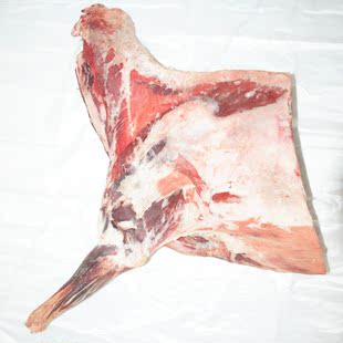  内蒙古新鲜羊前腿/生鲜羊肉/内蒙古特产农村散养现杀生羊肉1/4羊