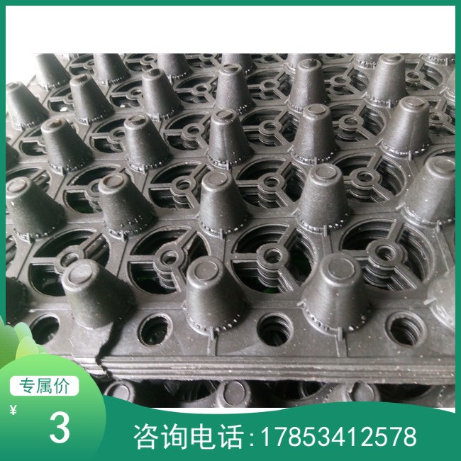 厂家直销塑料蓄排水板PE(500*500*3.0)屋顶绿化植草格∕土工布在类目 鲜花速递/花卉仿真/绿植园艺, 园艺用品, 其它园艺用品中 - 来自Buy2taobao.com提供专业的淘宝代购服务