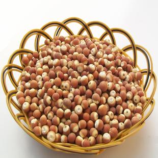 洪湖野生鸡头米 红皮整粒芡实 补肾 健脾 养胃