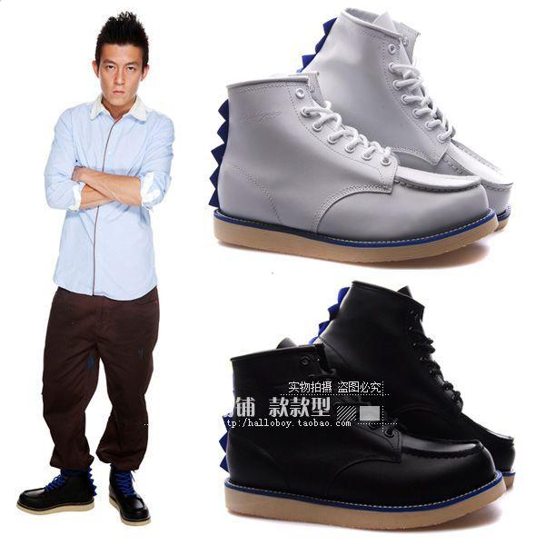 卡鲨鱼旗舰店|后海大鲨鱼|墙上的鲨鱼读后感 - 