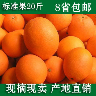  淘宝最低价 赣南脐橙  橙子新鲜水果有机水果送开橙器产地直销
