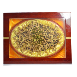  益言堂 冬虫夏草100克正品 西藏那曲虫草 送礼佳品 特级虫草 包邮