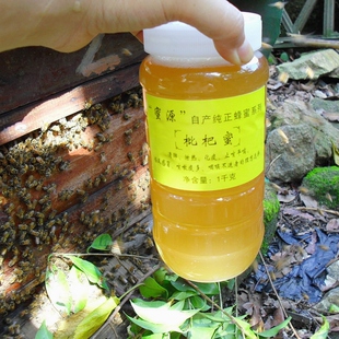  超值包邮 农家自产 【枇杷蜂蜜】止咳化痰 清肺利咽 纯天然蜂产品