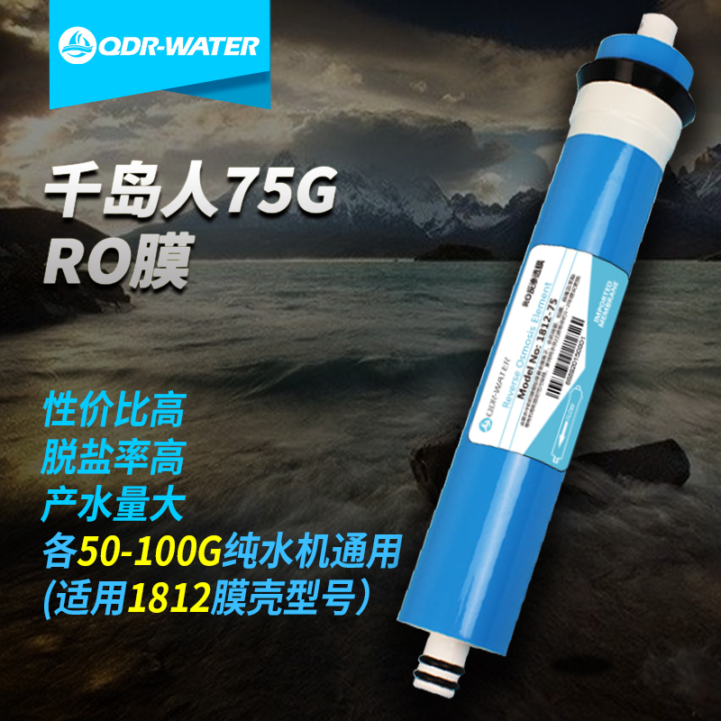 千島人75G125G400G600GRO反滲透膜脫鹽率高反滲透純水機淨水器在類目 廚房電器, 淨水器中 - 來自Buy2taobao.com提供專業的淘寶代購服務