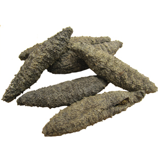  【付邮试用】1只装极品北极参 小有海参 野生淡干无糖无添加干货