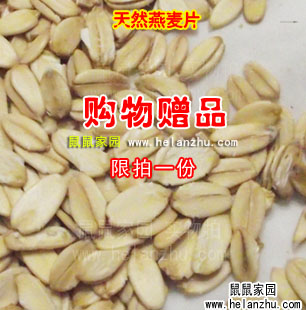 【鼠鼠家园】天然燕麦片 仓鼠 荷兰猪 龙猫美营养毛佳品 10g赠品在类目 宠物/宠物食品及用品, 仓鼠类及其它小宠, 饲料/零食中 - 来自Buy2taobao.com提供专业的淘宝代购服务