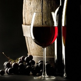  100斤精品酒庄辅料大全 包含优质酿酒酵母 果胶酶 调硫片等