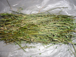 【应用中心-秒爆品]康妮芬 <em>文胸</em>/品牌/时尚性感