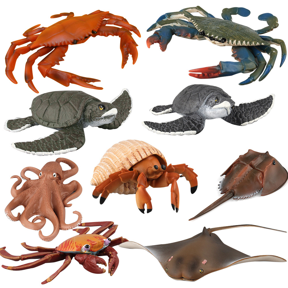 淼之阁仿真海洋生物模型八爪鱼海龟摆件寄居蟹模型摆件海底动物在类目 玩具/童车/益智/积木/模型, 仿真/过家家玩具, 仿真/动物玩偶中 - 来自Buy2taobao.com提供专业的淘宝代购服务