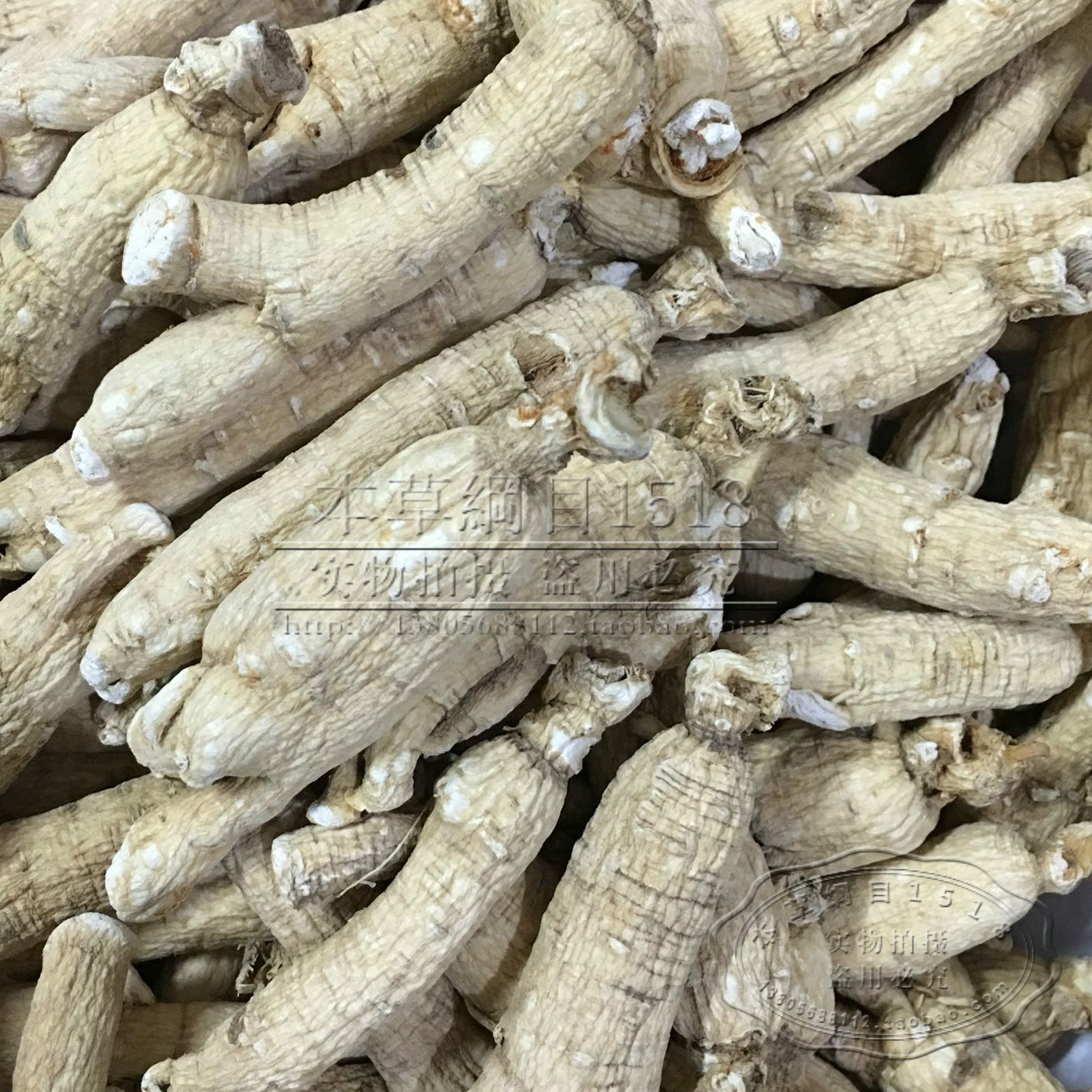 优质中药材 特级无硫人参个 包邮 整个无须人参 生晒参个白参个在類目 传统滋补营养品, 其他传统滋补品, 传统滋补品其他中 - 來自Buy2taobao.com提供專業的淘寶代購服務