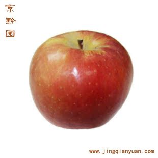  【京黔园】新疆水果 阿克苏 冰糖心 冰糖心苹果 8个装 北京正品
