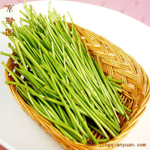  【京黔园】绿色蔬菜 新鲜蔬菜 芦蒿 水艾 袋/150G 北京买菜送到家