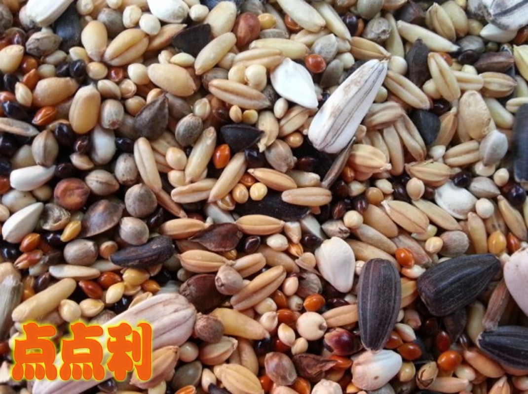 新产大中型鹦鹉鸟食/金刚/玄风/折中/葵花/亚历山大/1斤/7元|ruв категории животное/Животное питание и принадлежностей, птиц и принадлежностей, птица - от Buy2taobao.com для оказания профессиональной услуги покупки агента Taobao