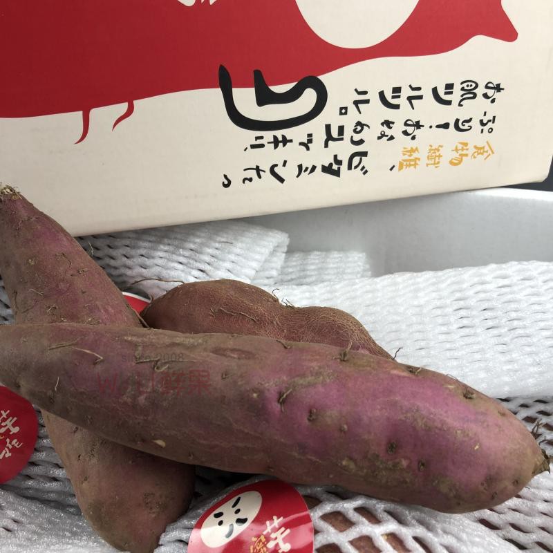 Japan Breed Anna Sweet potato Plateau Sweet potato fresh Chestnut 5 Gift box packagingin the Aquatic meat/Fresh fruits and vegetables/Cooked , Fresh fruit , Other category - from Buy2taobao.com to provide professional Taobao agent buy service