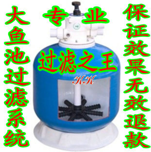 池塘大水过滤器日本锦鲤景观过滤器风格鱼池电影西班牙建筑生态别墅的图片