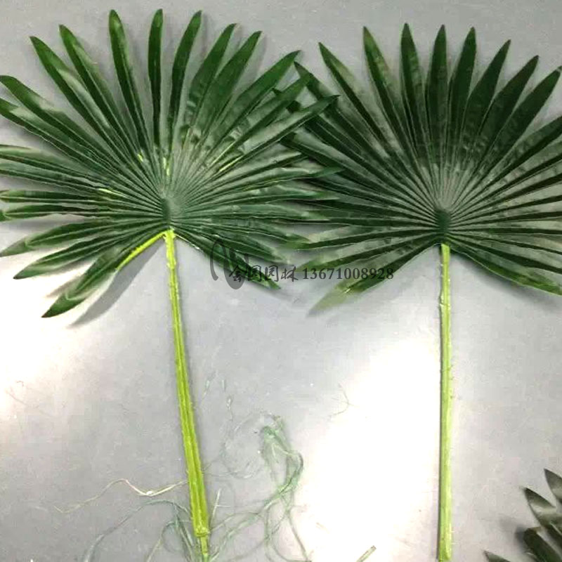 仿真棕榈树叶仿真树叶蒲葵叶椰子树叶热带植物舞台道具葵叶圆形叶|msdalam kategori penghantaran bunga/bunga simulasi/tumbuhan berkebun, bunga tiruan/tumbuh-tumbuhan hijau/Buah-buahan dan sayur-sayuran siap (baru), tumbuhan simulasi - dari Buy2taobao.com untuk memberikan perkhidmatan ejen Taobao profesional membeli