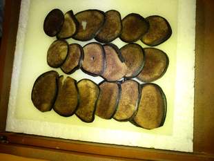  【百谷林新年促销】小兴安岭野生鹿茸片 东北三宝 温肾阳 益精血