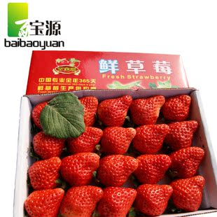  百宝源 新鲜/空运/四川双流 红颜丰香草莓 水果/特价/350克/尖头