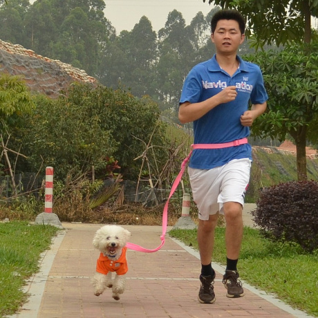 宠物牵引带 跑步拉带 狗狗晨跑牵引绳 狗绳狗圈 大型犬牵引带-淘宝网