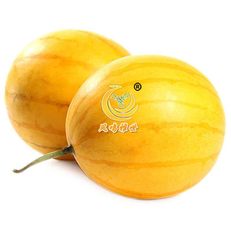 黄小福小黄西瓜籽100粒 基地用种 有机蔬菜种子公司 黄皮红肉在类目 鲜花速递/花卉仿真/绿植园艺, 花卉/蔬果/草坪种子(新), 家庭园艺种子中 - 来自Buy2taobao.com提供专业的淘宝代购服务