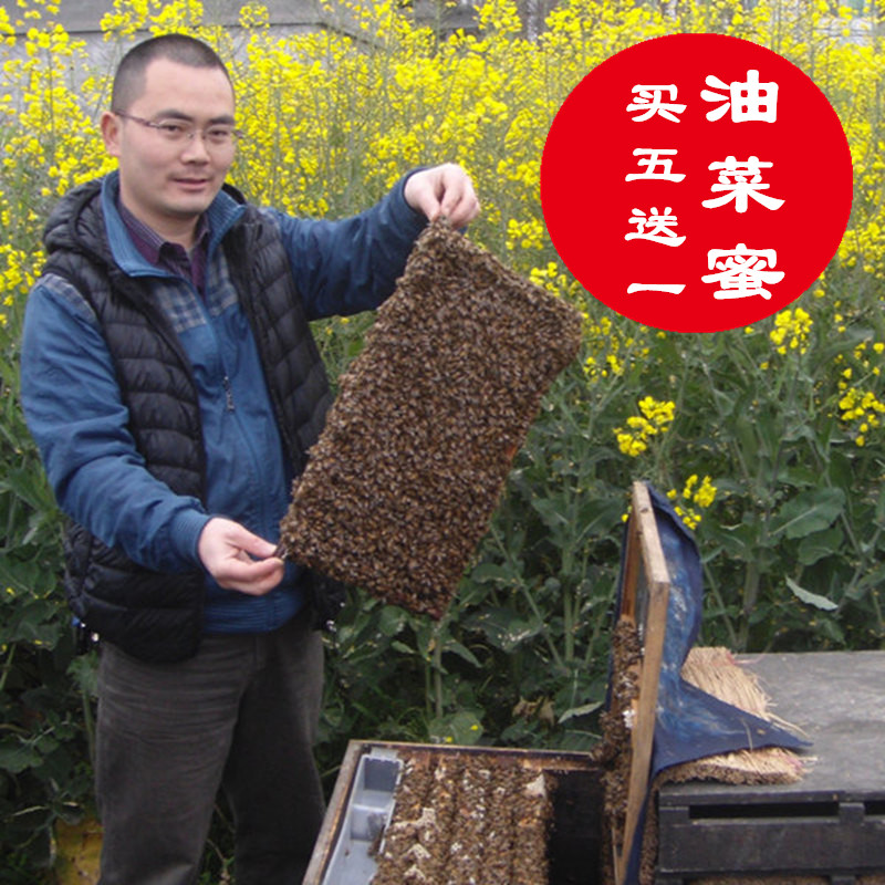 四川农家油菜蜜菜花蜜原蜜蜂蜜农家自产结晶蜂蜜包邮500g在类目 传统滋补营养品, 蜂蜜中 - 来自Buy2taobao.com提供专业的淘宝代购服务