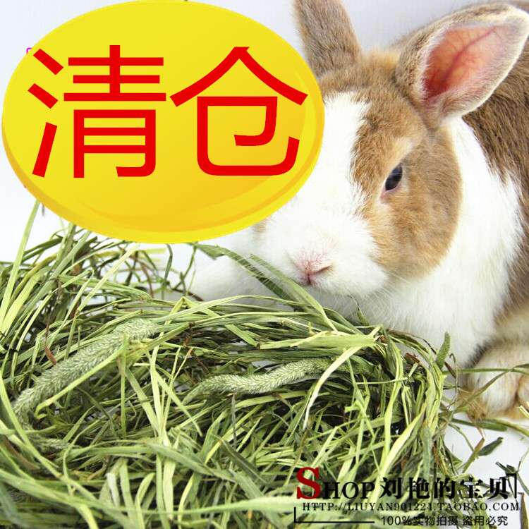5 parts Class A Timothy grass rabbit Hay Netherlands Pig feed Longmaomu Hastily 500 gramin the Pet/Pet food and supplies , Rabbits and supplies , Bunny hay category - from Buy2taobao.com to provide professional Taobao agent buy service