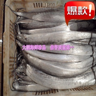  青岛特产 野生大带鱼，新鲜刀鱼 ，肉厚版 新鲜海鲜 3斤包邮顺丰