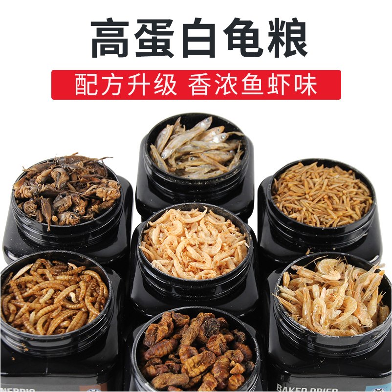 宠尚天龟粮虾干淡水无盐鱼干甲鱼虾皮龟粮面包虫干乌龟饲料巴西龟在类目 宠物/宠物食品及用品, 水族世界, 观赏龟/鳖饲料中 - 来自Buy2taobao.com提供专业的淘宝代购服务