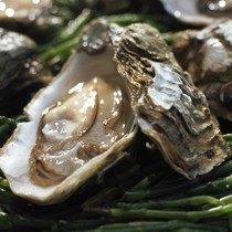  鲜活水产品 海鲜贝类 包装礼盒 大耗刺身 海牡蛎 营养美味 烧烤