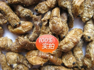 原蚕蛾哪种好?原蚕蛾价格,原蚕蛾品牌,针织衫