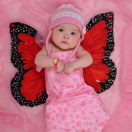 TB3117 2013年最新影楼样片|儿童宝宝摄影百