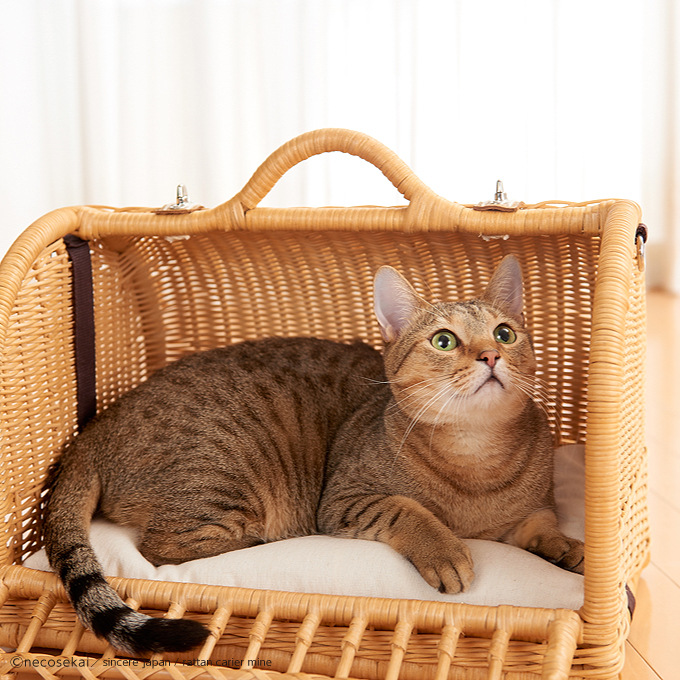 日本进口布偶猫窝狗窝藤编宠物外出包便携斜挎手提航空托运箱笼子|ruв категории животное/Животное питание и принадлежностей, кошка/собака товаров, рюкзак/камера - от Buy2taobao.com для оказания профессиональной услуги покупки агента Taobao