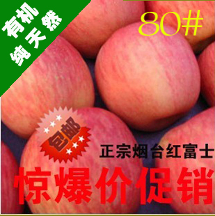  山东烟台栖霞 新鲜有机苹果水果 红富士【果农自销】80#/2件起拍