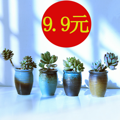 清仓处理多肉花盆老桩盆粗陶瓷透气肉肉植物小花盆法师特价多肉盆