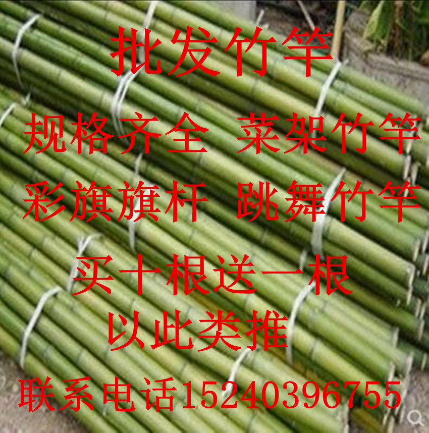 竹竿旗竹杆包邮 跳舞竹竿 篱笆竹子栅栏竹竿室内装修烤漆竹子在类目 鲜花速递/花卉仿真/绿植园艺, 园艺用品, 大型篱笆/栅栏中 - 来自Buy2taobao.com提供专业的淘宝代购服务