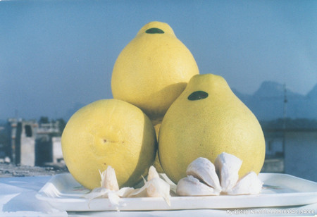 桂林水果特产好吗?桂林水果特产价格,桂林水果特产排行榜,壁画导购网