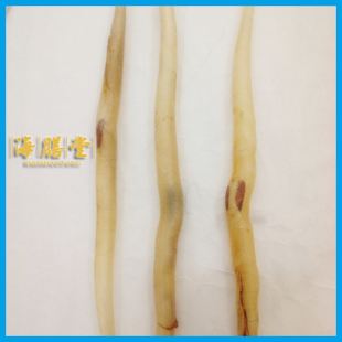  海膳堂 鳗鱼胶 特大鳝胶 鳝肚 花胶 鱼肚 鱼胶 水产干货 鱼类制品