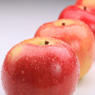  新西兰进口加纳果 加纳苹果 正宗空运水果 新鲜水果12粒装