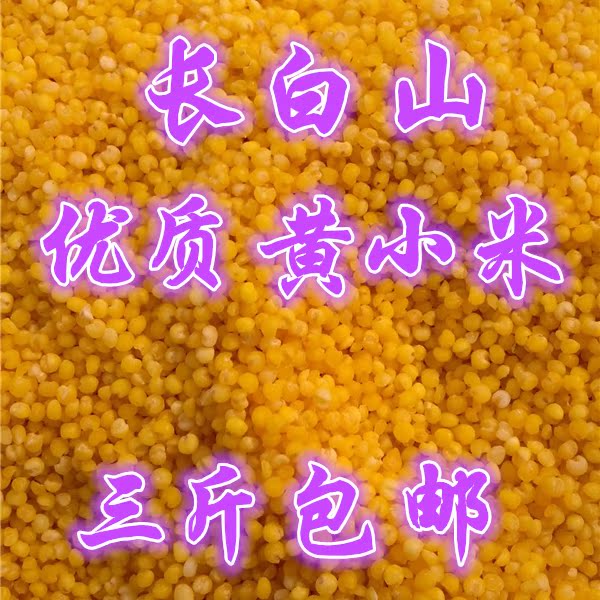 长白山黄小米 小米子 月子米 糯小米 东北山区小黄米 2500g包邮在类目 粮油米面/南北干货/调味品, 米/面粉/杂粮, 米类, 小米中 - 来自Buy2taobao.com提供专业的淘宝代购服务